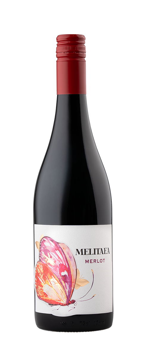 Wine Bottle