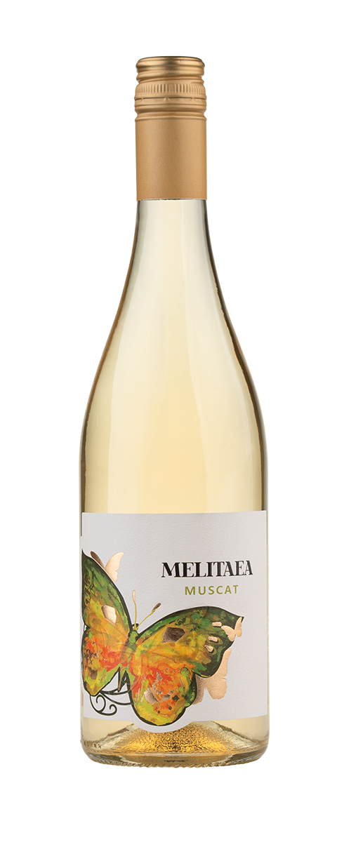 Wine Bottle